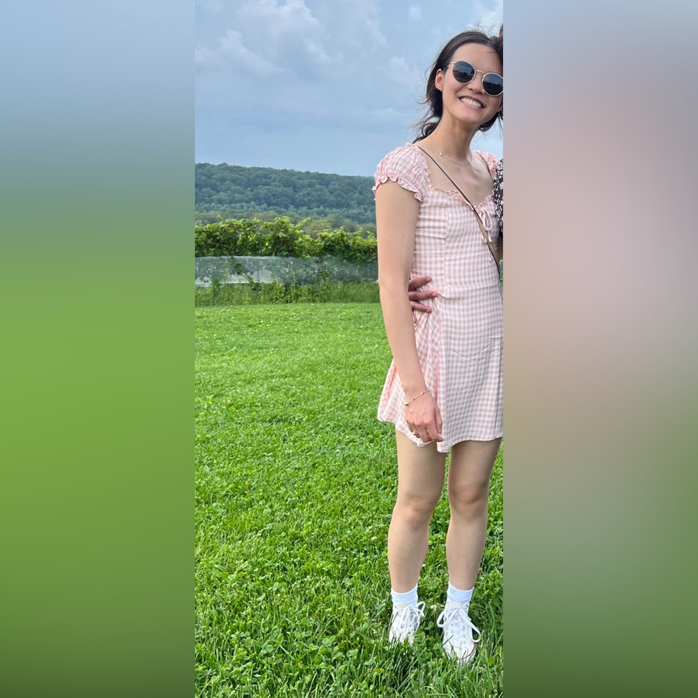 Reformation pink gingham dress